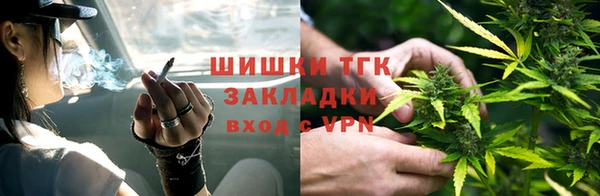 гидропоника Алзамай