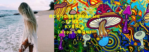гидропоника Алзамай