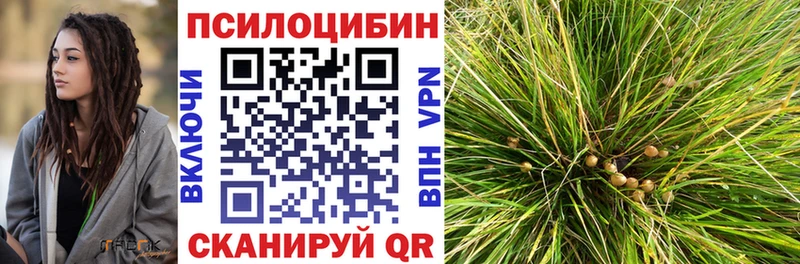Псилоцибиновые грибы GOLDEN TEACHER  маркетплейс Telegram  Новомичуринск 